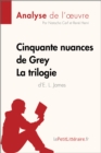 Image for Cinquante nuances de Grey de E. L. James - La trilogie (Fiche de lecture): Resume complet et analyse detaillee de l&#39;oeuvre