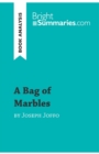 Image for A Bag of Marbles by Joseph Joffo (Book Analysis) : Detailed Summary, Analysis and Reading Guide