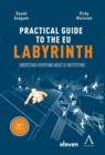 Image for practical guide to the eu labyrinth: Understand everything about EU institutions