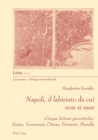 Image for Napoli, il labirinto da cui non si esce : Cinque letture geocritiche: Serao, Yourcenar, Ortese, Ferrante, Parrella