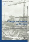 Image for L&#39;energie au Cameroun: Une histoire des agencements entre l&#39;Etat et l&#39;entreprise (1904-2001)