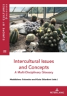 Image for Intercultural Issues and Concepts