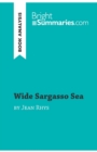 Image for Wide Sargasso Sea by Jean Rhys (Book Analysis) : Detailed Summary, Analysis and Reading Guide