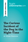 Image for Curious Incident of the Dog in the Night-Time by Mark Haddon (Book Analysis): Detailed Summary, Analysis and Reading Guide