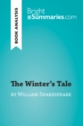 Image for Winter&#39;s Tale by William Shakespeare (Book Analysis): Detailed Summary, Analysis and Reading Guide