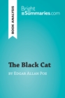 Image for Black Cat by Edgar Allan Poe (Book Analysis): Detailed Summary, Analysis and Reading Guide