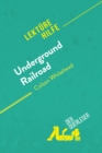 Image for Underground Railroad von Colson Whitehead (Lekturehilfe): Detaillierte Zusammenfassung, Personenanalyse und Interpretation