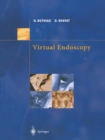 Image for Virtual endoscopy
