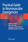 Image for Practical Guide to Neurovascular Emergencies