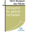 Image for Glossaire du patois rochelais.