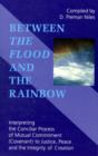Image for Between the Flood and the Rainbow