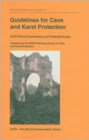 Image for Guidelines for Cave and Karst Protection : IUCN World Commission on Protected Areas - Prepared by the WCPA Working Group on Cave and Karst Protection