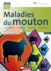 Image for Maladies du mouton: Le ble