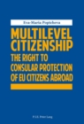 Image for Multilevel Citizenship : The Right to Consular Protection of EU Citizens Abroad