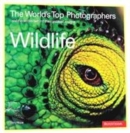 Image for The World&#39;s Top Wildlife Photographers
