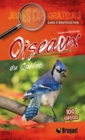Image for Oiseaux du Quebec: Guide d&#39;identification