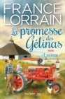 Image for La promesse des Gelinas, tome 4: Laurent