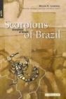 Image for Scorpions of Brazil