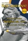 Image for Supermarine Spitfire Mk. VIII