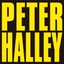 Image for Peter Halley: Since 2000