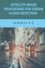 Image for Satellite Image Processing for Urban Flood Detection