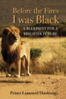 Image for Before the Fires I Was Black: A Blueprint for a Brighter Future