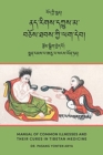 Image for Manual of Common Illnesses and Their Cures in Tibetan Medicine (Nad rigs dkyus ma bcos thabs kyi lag deb)