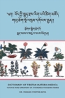 Image for Dictionary of Tibetan Materia Medica (Bod kyi sman rdzas rig pa&#39;i tshig mdzod) : Yutok&#39;s Mind Ornament of a Hundred Thousand Herbs (G.yu thog sngo &#39;bum dgongs rgyan)