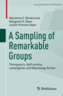 Image for A sampling of remarkable groups: Thompson&#39;s, self-similar, lamplighter, and Baumslag-Solitar