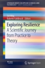 Image for Exploring Resilience : A Scientific Journey from Practice to Theory