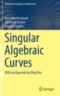 Image for Singular Algebraic Curves : With an Appendix by Oleg Viro