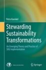 Image for Stewarding Sustainability Transformations