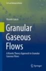 Image for Granular Gaseous Flows: A Kinetic Theory Approach to Granular Gaseous Flows