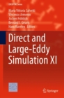Image for Direct and Large-Eddy Simulation XI