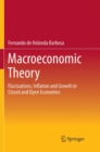 Image for Macroeconomic Theory : Fluctuations, Inflation and Growth in Closed and Open Economies
