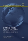 Image for Shaping the EU Global Strategy