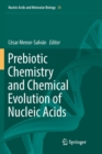 Image for Prebiotic Chemistry and Chemical Evolution of Nucleic Acids