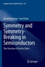 Image for Symmetry and Symmetry-Breaking in Semiconductors