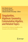 Image for Singularities, Algebraic Geometry, Commutative Algebra, and Related Topics : Festschrift for Antonio Campillo on the Occasion of his 65th Birthday