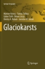 Image for Glaciokarsts