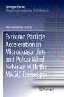 Image for Extreme Particle Acceleration in Microquasar Jets and Pulsar Wind Nebulae with the MAGIC Telescopes