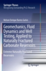Image for Geomechanics, Fluid Dynamics and Well Testing, Applied to Naturally Fractured Carbonate Reservoirs