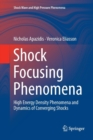 Image for Shock Focusing Phenomena