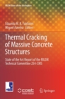 Image for Thermal Cracking of Massive Concrete Structures