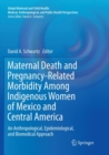 Image for Maternal Death and Pregnancy-Related Morbidity Among Indigenous Women of Mexico and Central America
