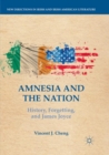 Image for Amnesia and the Nation : History, Forgetting, and James Joyce