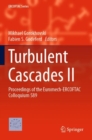 Image for Turbulent Cascades II : Proceedings of the Euromech-ERCOFTAC Colloquium 589