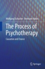 Image for The process of psychotherapy: causation and chance