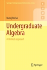 Image for Undergraduate algebra  : a unified approach