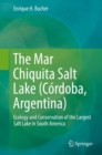 Image for The Mar Chiquita Salt Lake (Cordoba, Argentina)